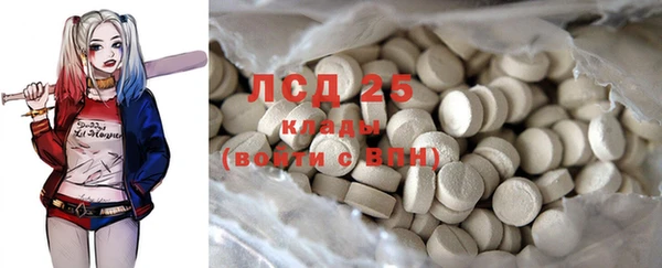 шишки Няндома