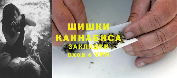 твердый Арсеньев