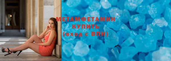 шишки Няндома