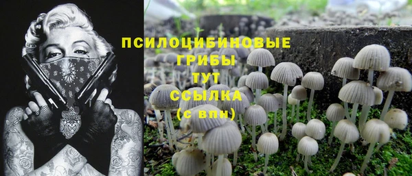 твердый Арсеньев