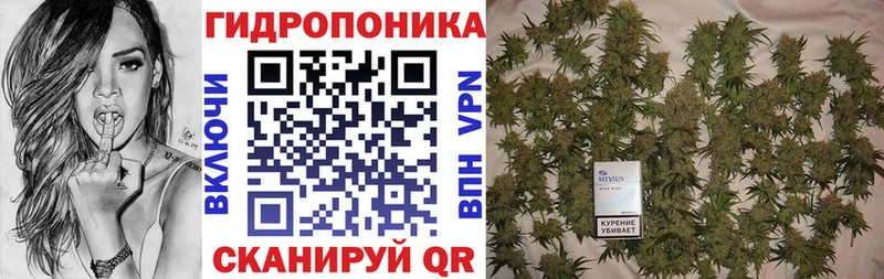закладка  Суровикино  МЕГА   Бошки Шишки OG Kush 